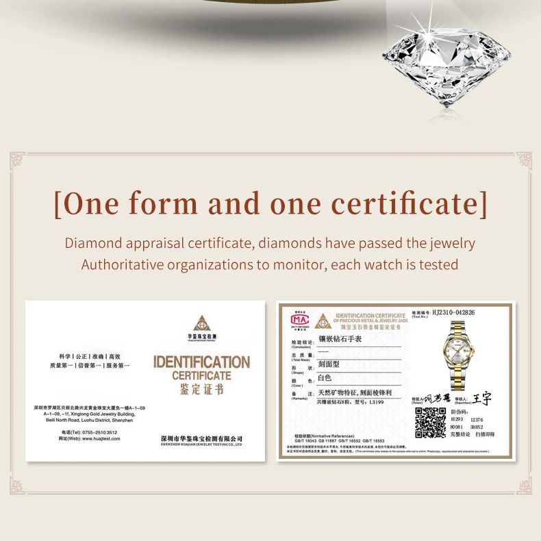 OUPINKE 3199 스위스 무브먼트 기계식 시계 브 - Luxury Watch Gift For Her 리뷰 및 가격